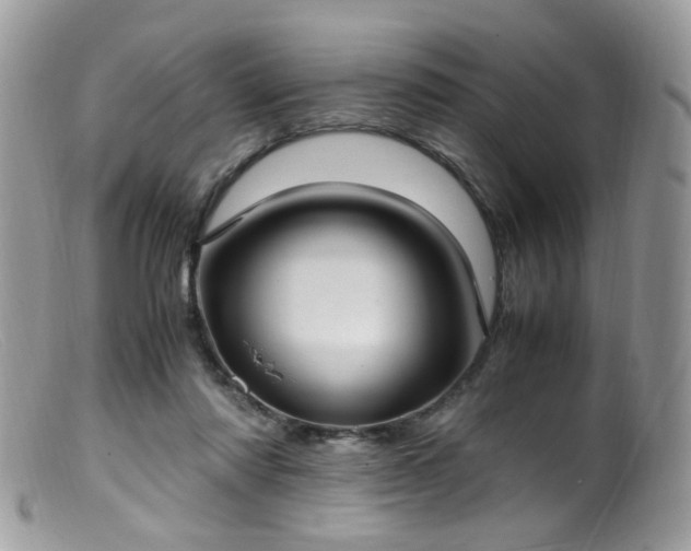 X0000099400310200805151711