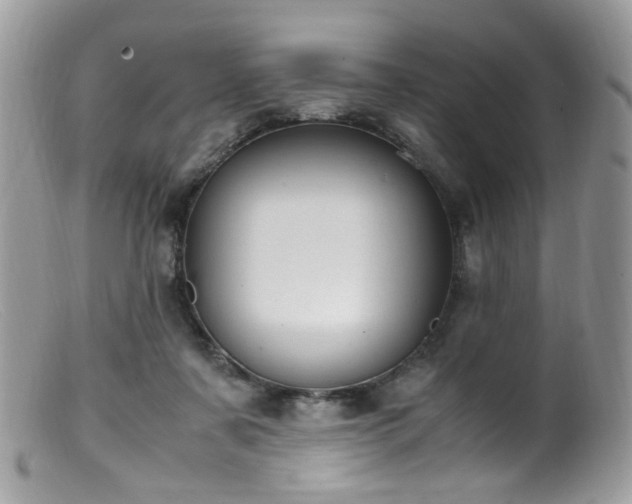 X0000099400311200805151711