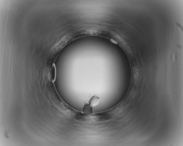 X0000099400313200805151711