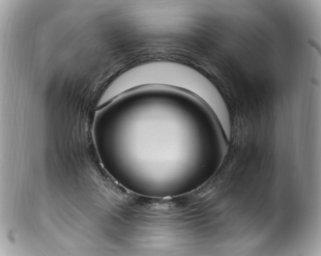 X0000099400314200805151711