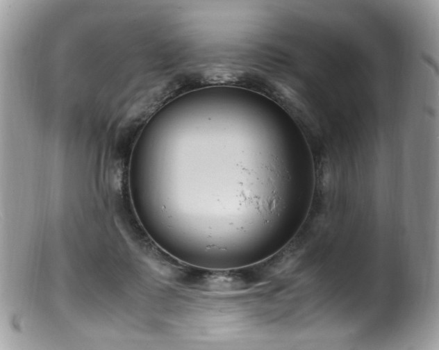 X0000099400315200805151711