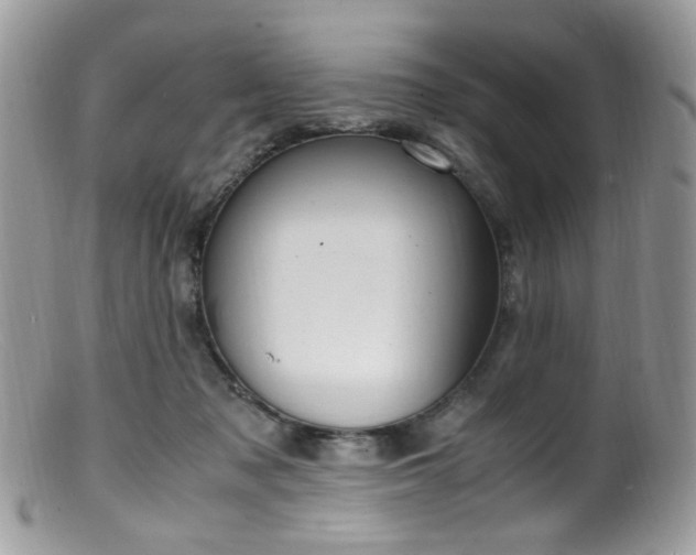 X0000099400317200805151711