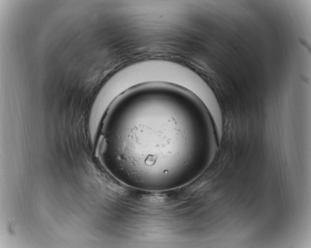 X0000099400318200805151711