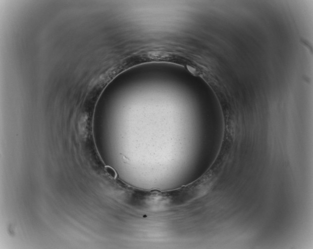 X0000099400319200805151711