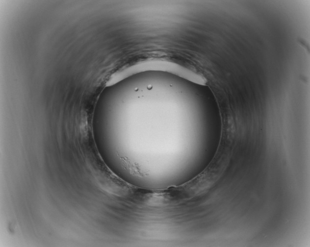 X0000099400320200805151711