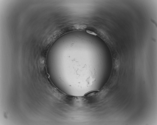 X0000099400321200805151711