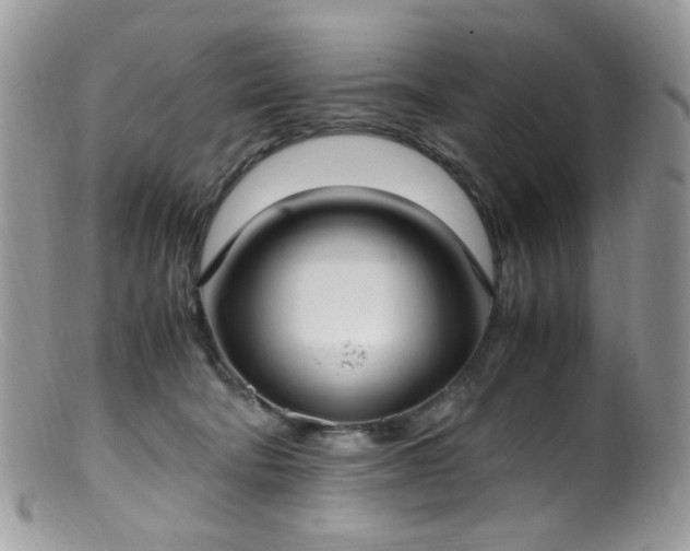 X0000099400322200805151711