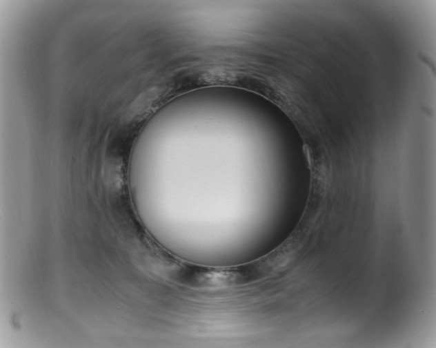 X0000099400323200805151711