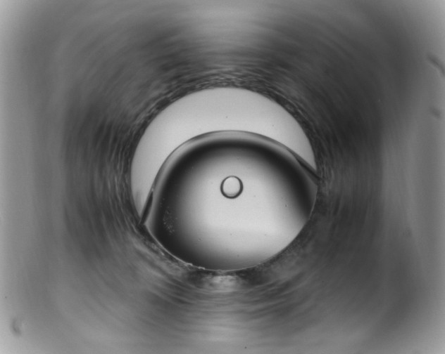 X0000099400324200805151711