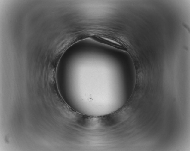 X0000099400325200805151711