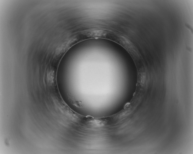 X0000099400326200805151711