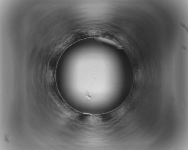 X0000099400327200805151711