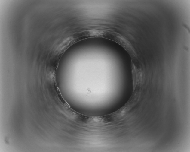 X0000099400329200805151711