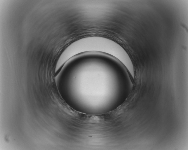 X0000099400330200805151711