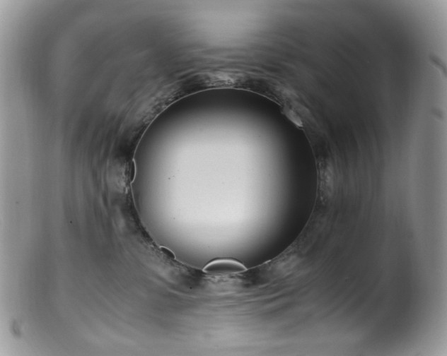 X0000099400331200805151711