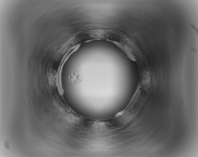 X0000099400332200805151711