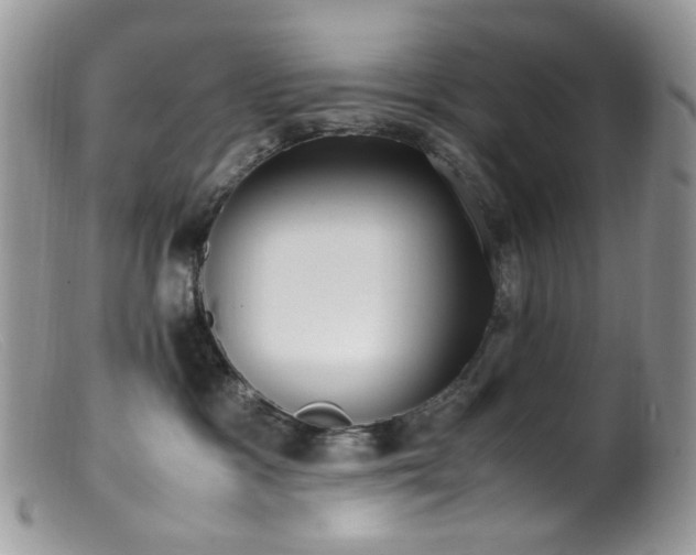 X0000099400333200805151711