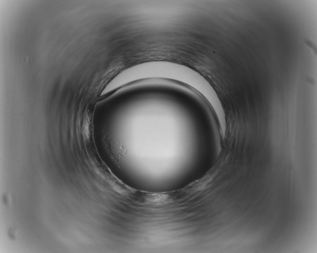 X0000099400334200805151711