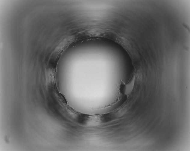 X0000099400335200805151711