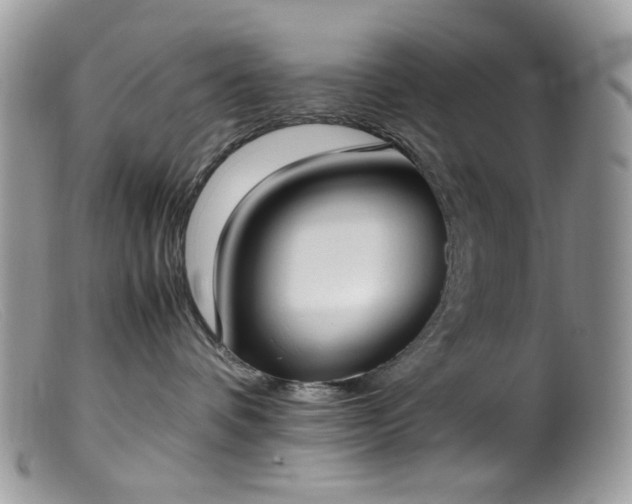 X0000099400336200805151711