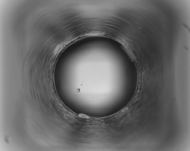 X0000099400337200805151710