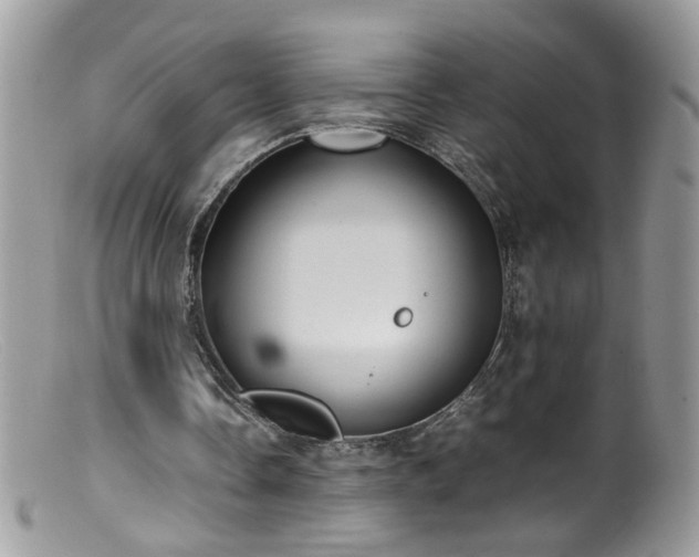 X0000099400338200805151710