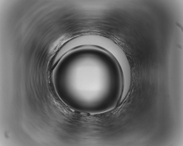 X0000099400339200805151710