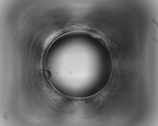 X0000099400340200805151710