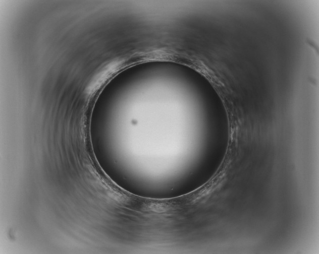 X0000099400341200805151710