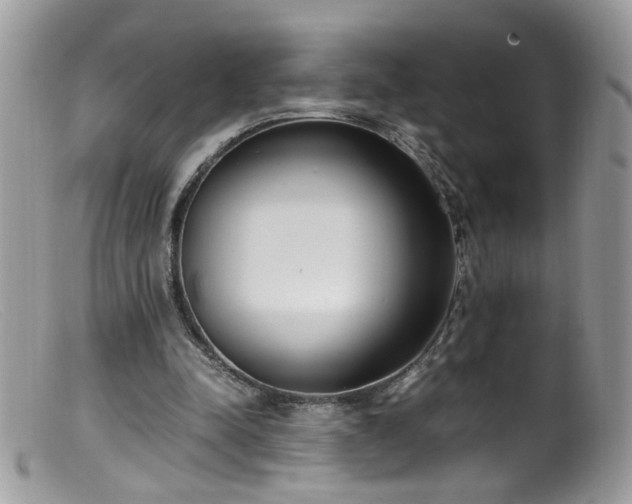 X0000099400342200805151710