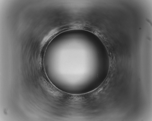 X0000099400343200805151710