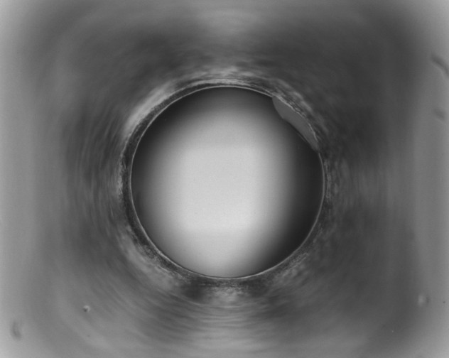 X0000099400344200805151710