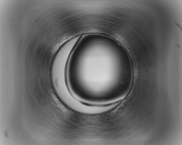 X0000099400345200805151710