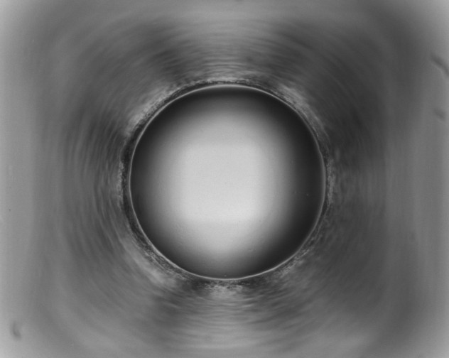 X0000099400346200805151710