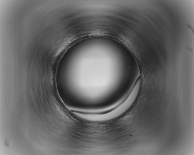 X0000099400347200805151710