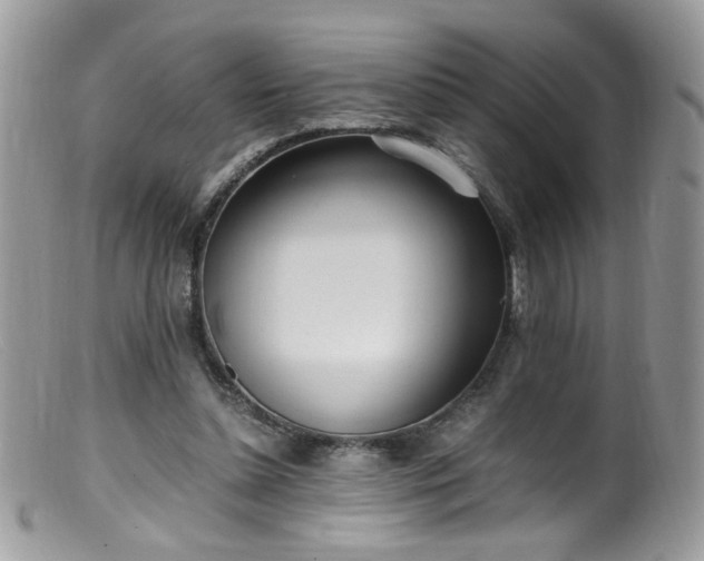 X0000099400348200805151710