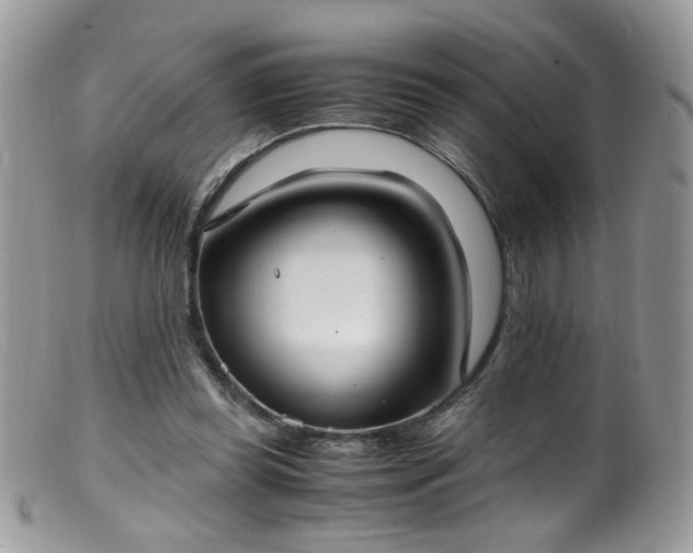 X0000099400349200805151710