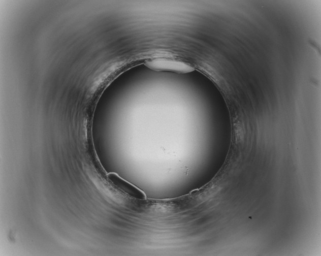 X0000099400350200805151710