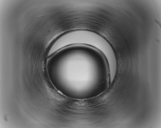 X0000099400351200805151710