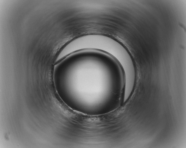 X0000099400353200805151710