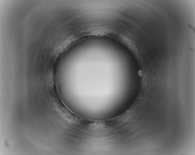 X0000099400354200805151710