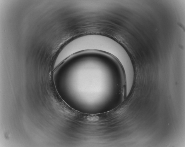 X0000099400355200805151711