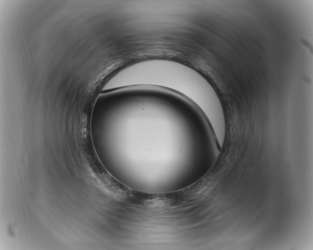 X0000099400356200805151711