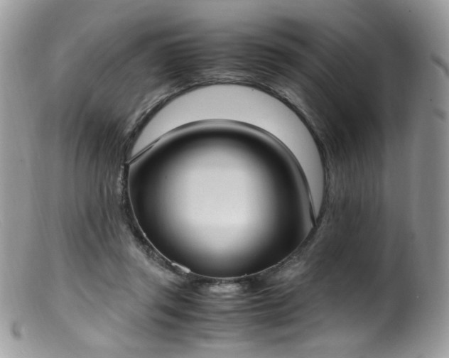 X0000099400357200805151711