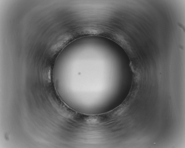 X0000099400358200805151711