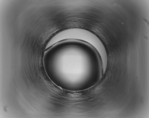 X0000099400359200805151711