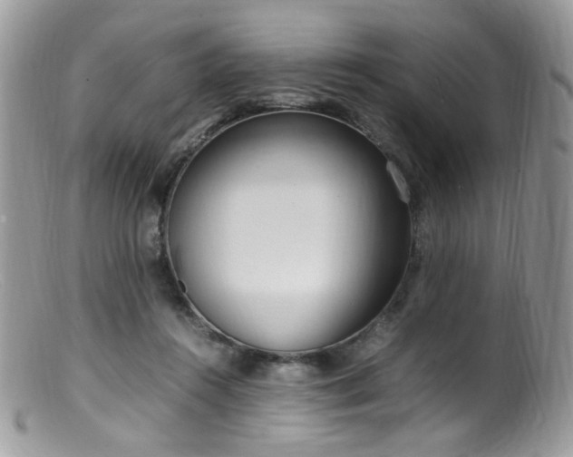 X0000099400360200805151711