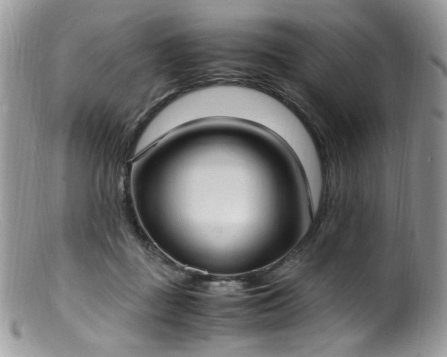 X0000099400363200805151711