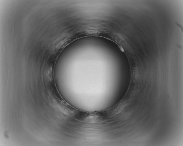 X0000099400364200805151711