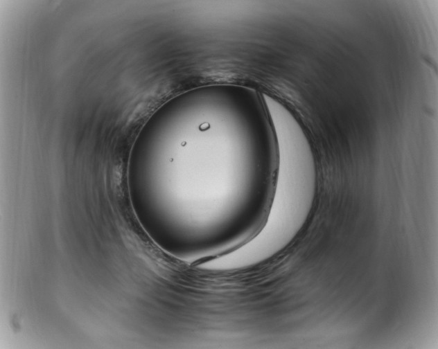 X0000099400365200805151711